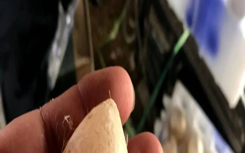 鸡蛋变形了能吃吗（畸形多久可以看出来）