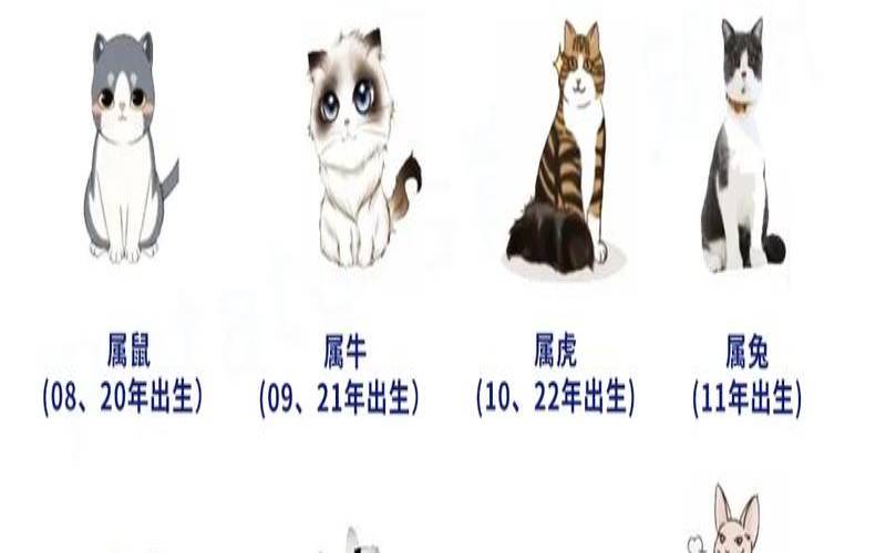 猫的生肖是什么生肖（猫代表十二生肖哪个生肖）