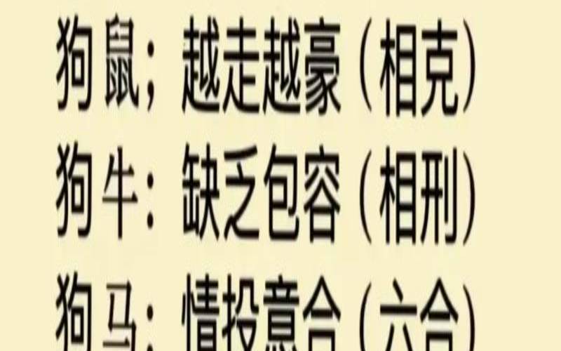 属兔跟属狗的合不合得来（属狗和属兔谁旺谁）