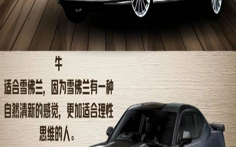 12生肖车代表什么生肖（汽车是什么生肖）