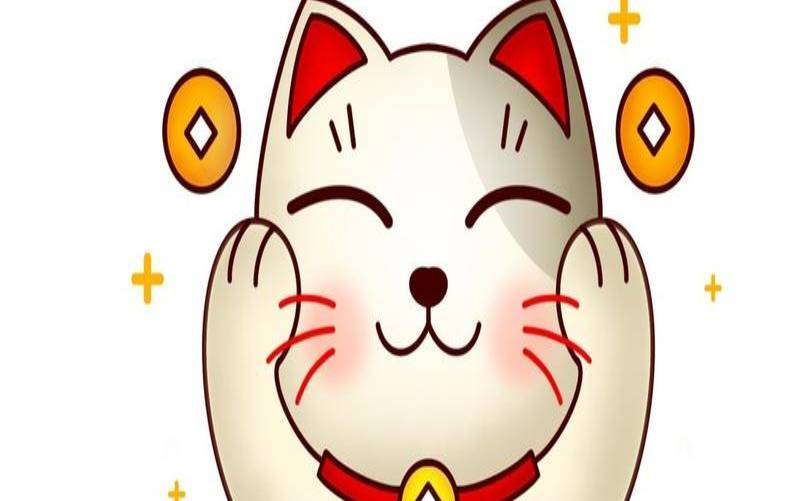 测试你是哪种猫（招财猫哪只手招财）