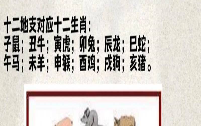 周易指的是什么东西（周易打一准确生肖）