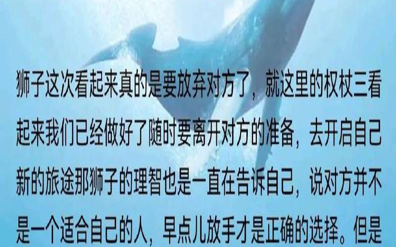 狮子座9月运势如何（狮子座塔罗牌）