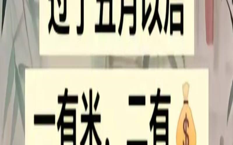 属猪2016年运势及运程（猪鼠年是哪一年）