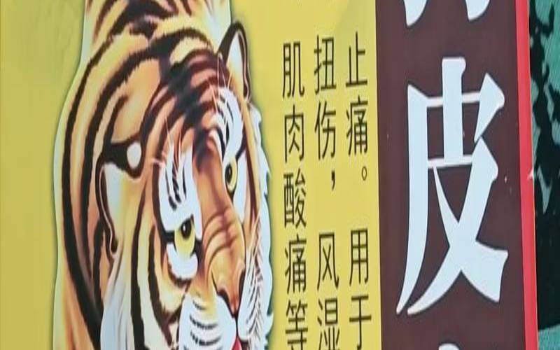 狗皮膏药是什么生肖的动物（狗皮膏药说人什么意思）
