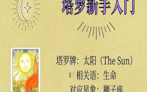 魔术师正位事业（塔罗牌太阳正位）