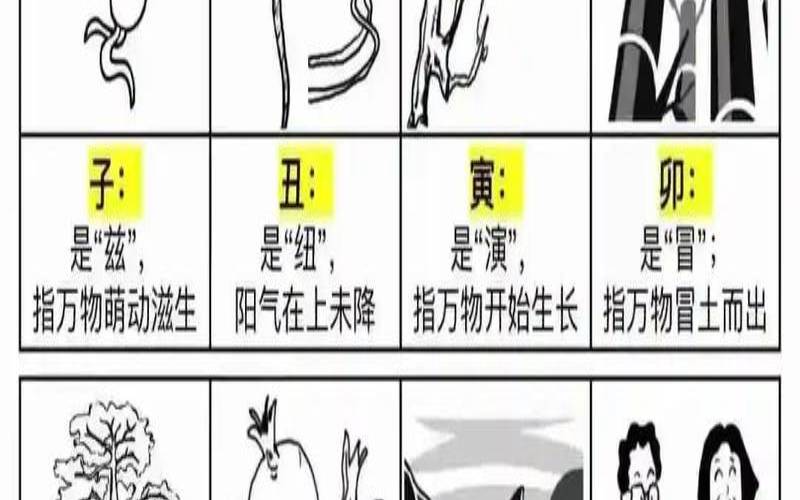 生肖对应的代表人物（属相是如何划分的）