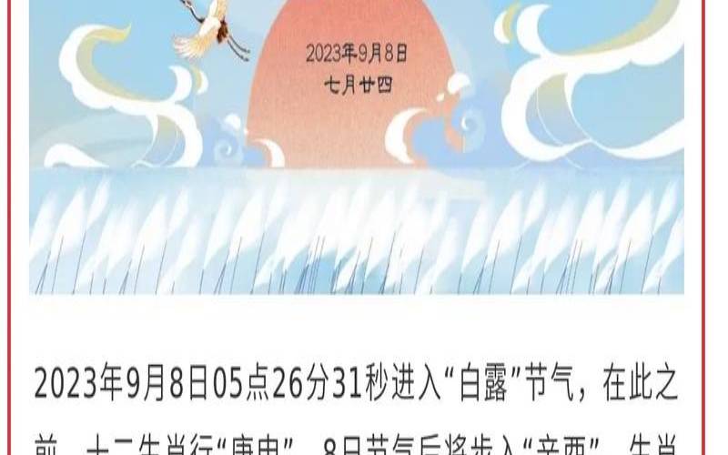 散代表什么生肖（白露猜什么生肖）