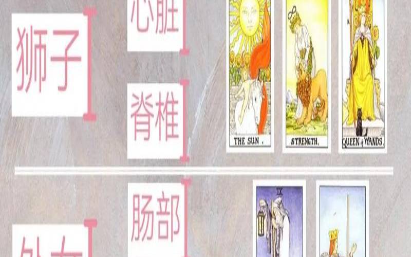 塔罗占卜另一半的星座（塔罗占卜未来另一半）
