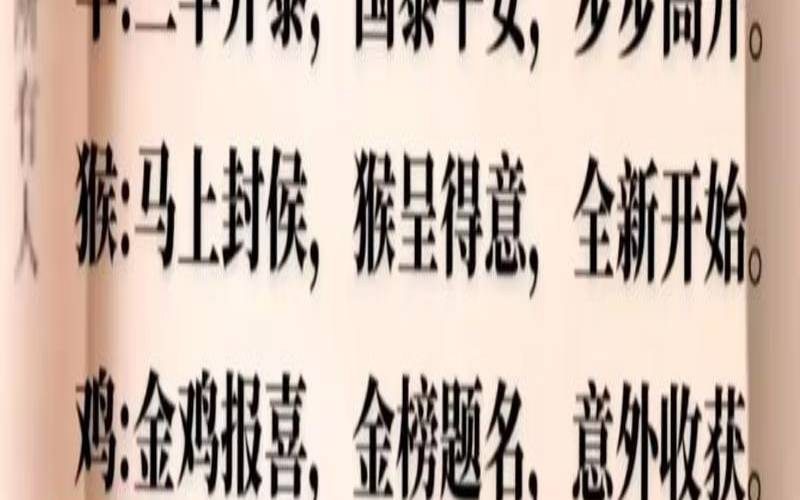 十代表什么生肖生活规律（十全十美猜生肖数字）