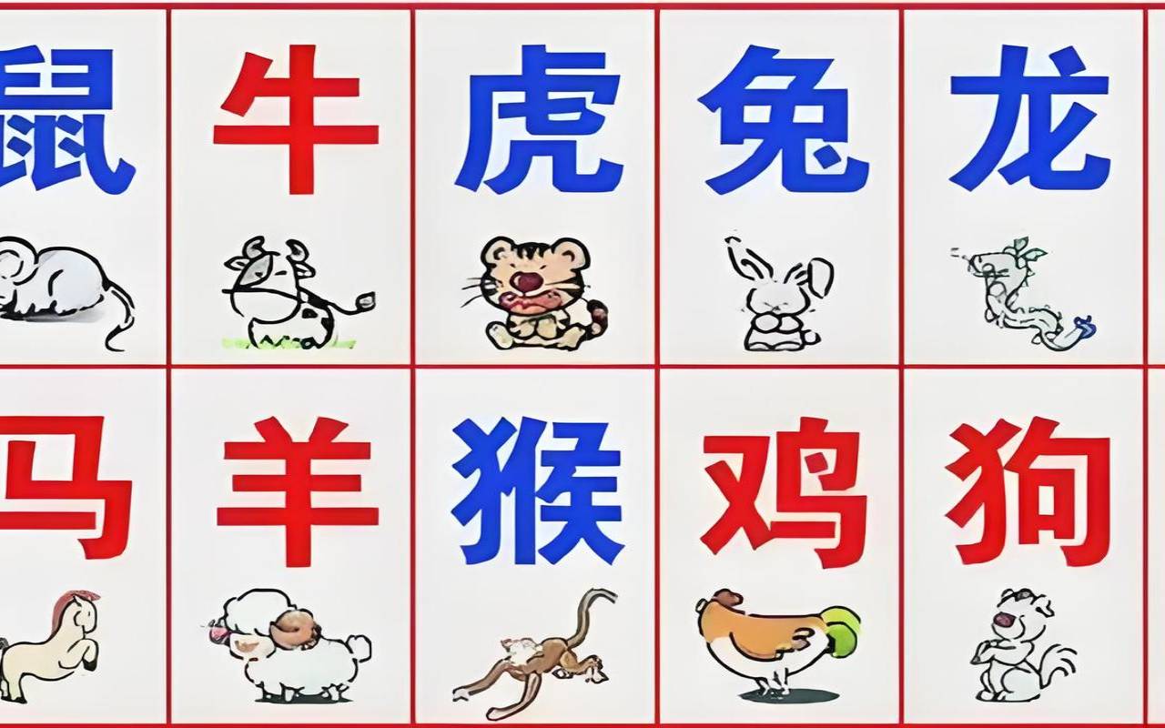 11能代表什么生肖（十一的含义是什么意思网络）