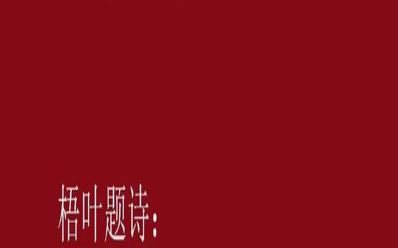 黄大仙生肖拍照讲究是什么（澳门正版诗像破成语）