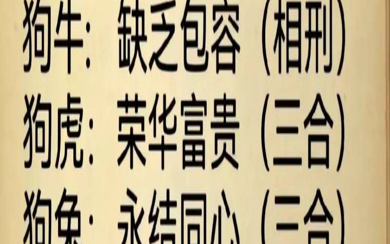 十二生肖狗和狗合不合（属狗和什么属相最配最不配）