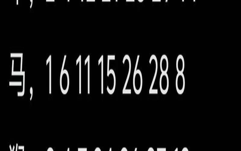 数字406是什么意思（一二三是什么生肖数字）