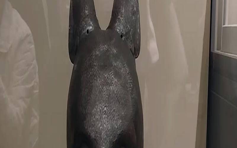 12生肖兽首铜像一共多少钱（圆明园十二兽首的下落）