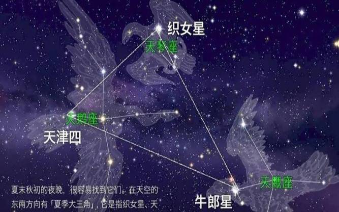 织女星座位于哪个星座（织女星有生命吗）