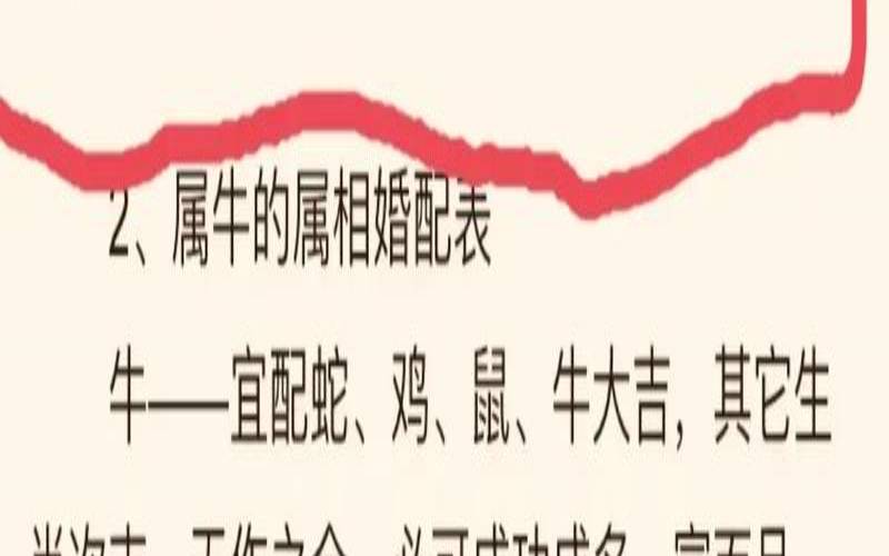 八字不合相生相克（八字不合打一数字）