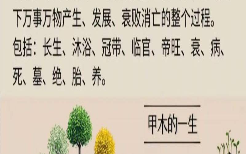 八字生旺死绝的具体含义（八字长生口诀）