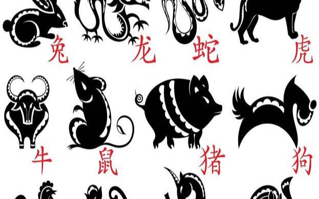 泪偷零、震八表是什么生肖（十二生肖什么动物震九洲）