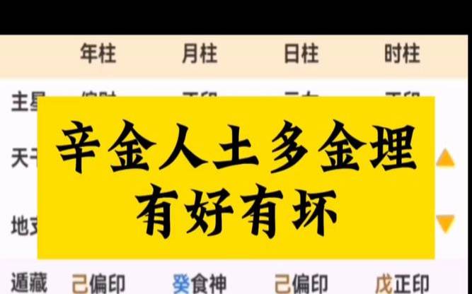 土多埋金性格（活人八字能埋土里吗）
