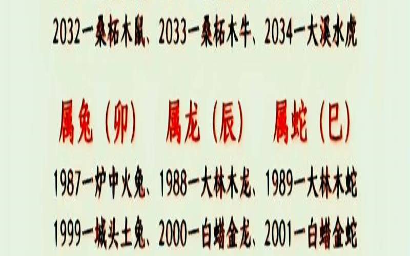 一个生肖轮回怎么称呼（生肖12年一个轮回叫什么）