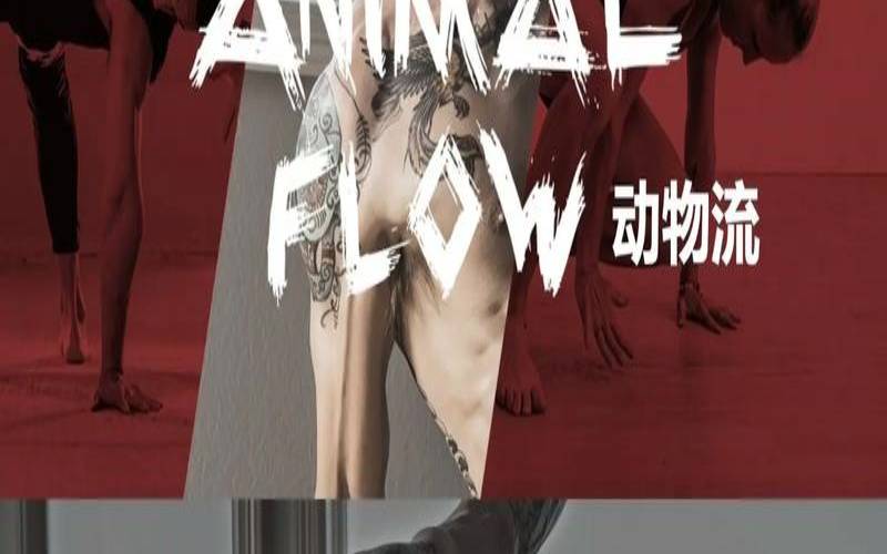 动物流是什么运动有什么用（实际情况打一生肖）