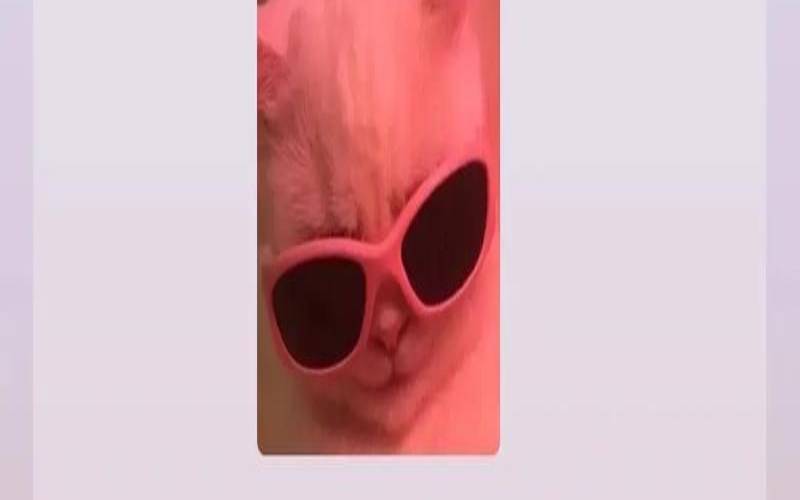 犯罪人员最多的星座比例（破案能力最强的星座）