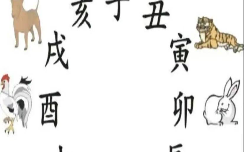 公元前221年是什么干支年（12生肖完整于什么朝代）