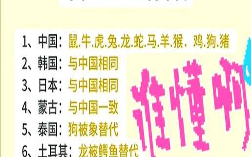 大象像什么生肖（十二生肖是大哥猜一动物）