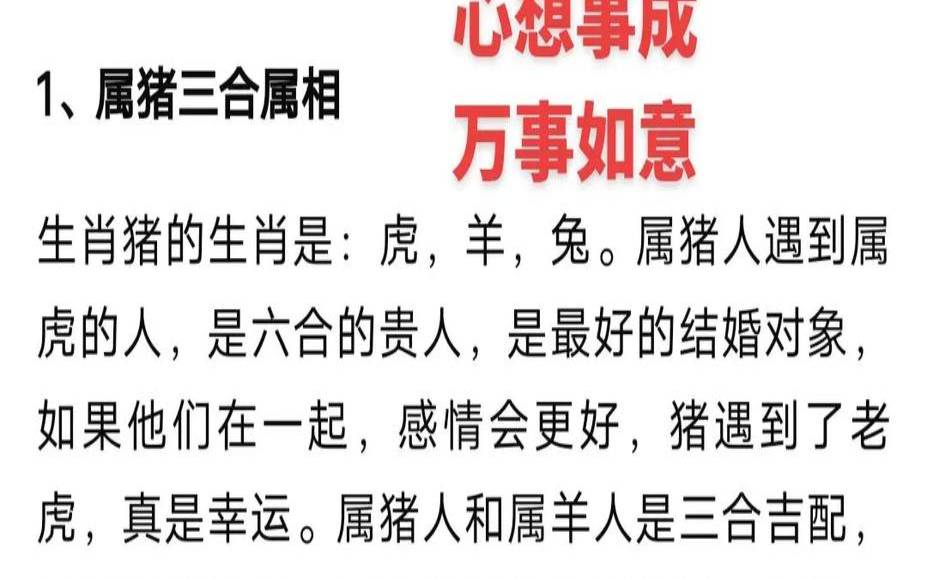 属猪2021年每月运势完整版（属猪做什么生意最旺）