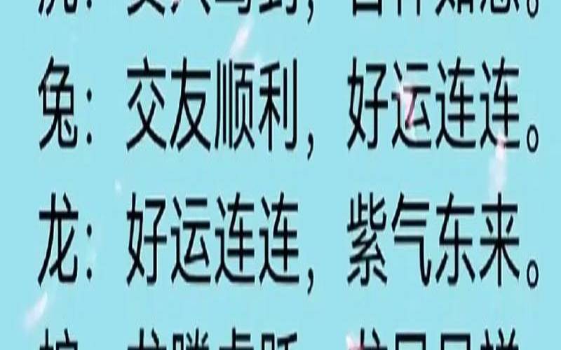 12月13日是什么生肖（13号代表什么生肖）