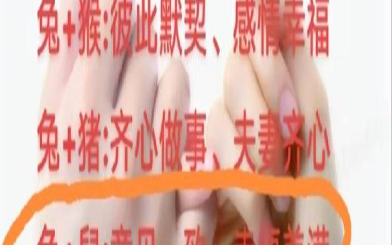 94年男和96年鼠相配吗（男鼠和什么生肖最配）