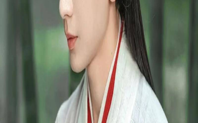 星学院之星座的秘密（魔法的电视剧有哪些）