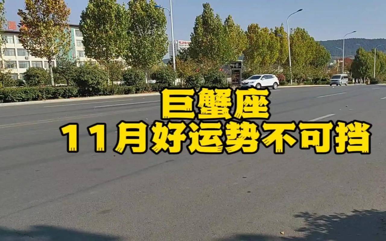 双子座11月运势查询（巨蟹座2020年运势）