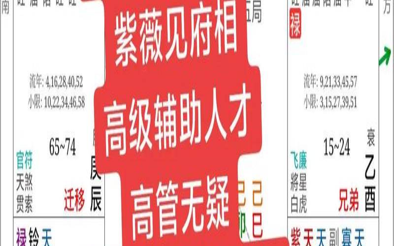 八字看财运案例（创业容易成功的八字）